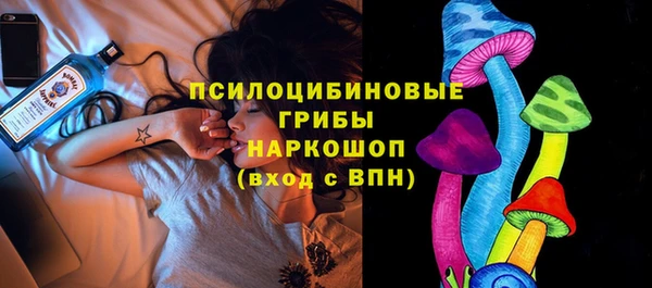 mdpv Вяземский
