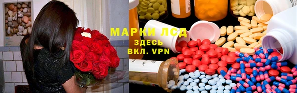 mdpv Вяземский