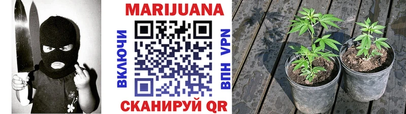 Каннабис тримм  Купить  Ленинградская 
